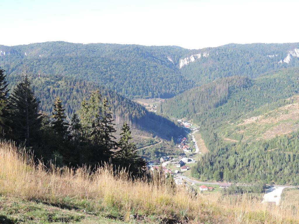 Penzion Pod Guglom Mlynky Exterior foto